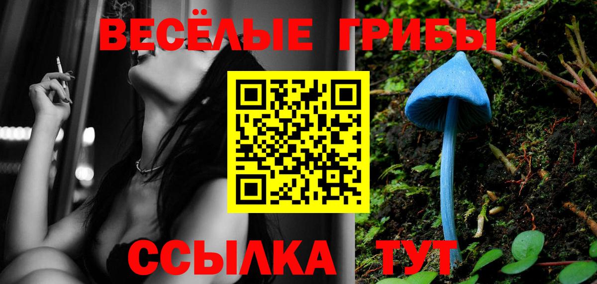 Псилоцибиновые грибы Cubensis  Вход с VPN  Шахты 